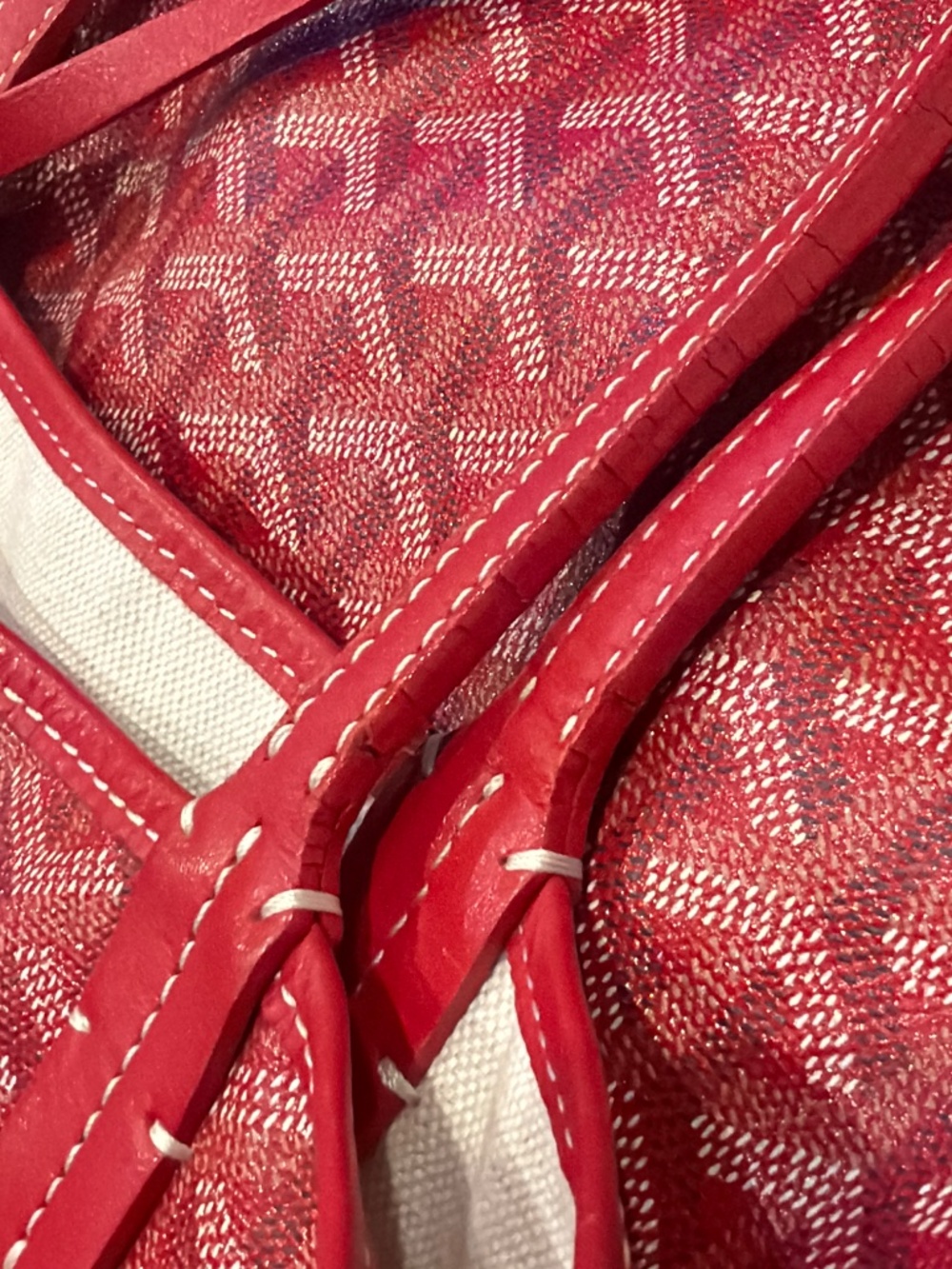 Goyard St Louis PM Tote Bag Red - Picture 8 of 12
